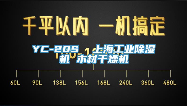 YC-20S  上海工業草莓视频污污污污 木材幹燥機