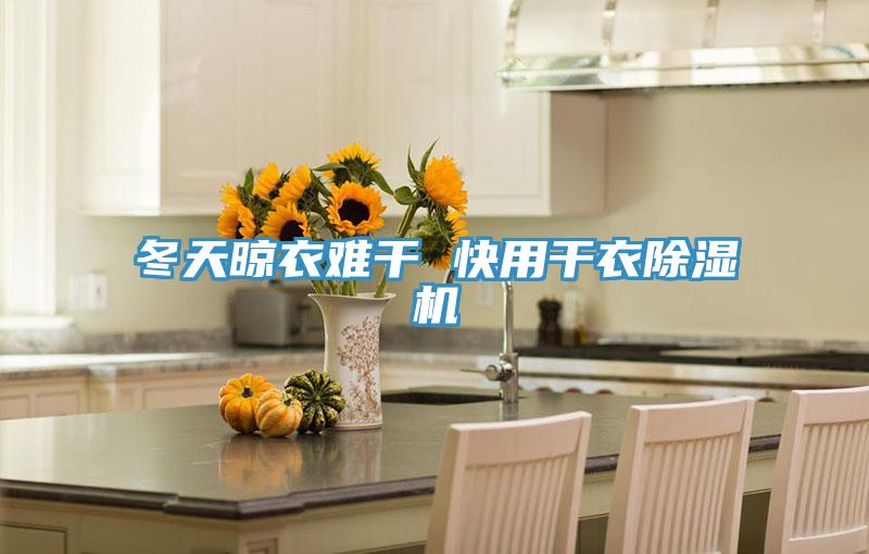冬天晾衣難幹 快用幹衣草莓视频污污污污