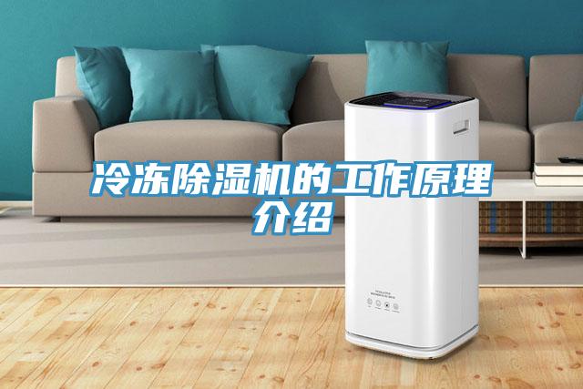 冷凍草莓视频污污污污的工作原理介紹