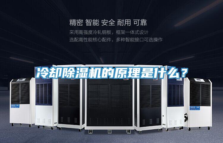 冷卻草莓视频污污污污的原理是什麽？