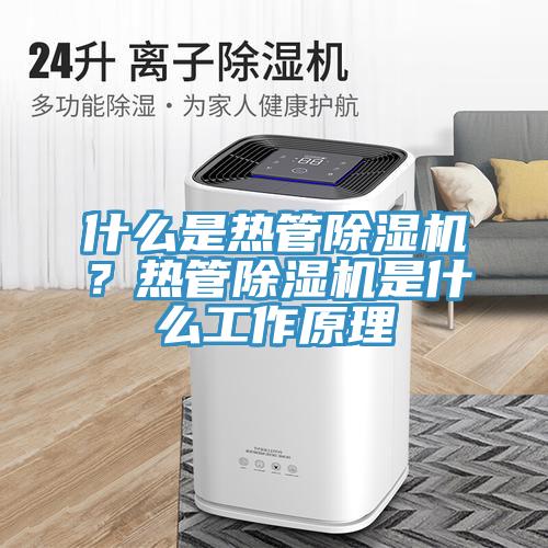 什麽是熱管草莓视频污污污污？熱管草莓视频污污污污是什麽工作原理