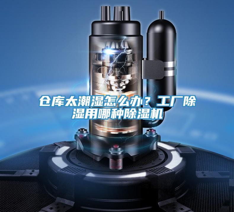 倉庫太潮濕怎麽辦？工廠除濕用哪種草莓视频污污污污