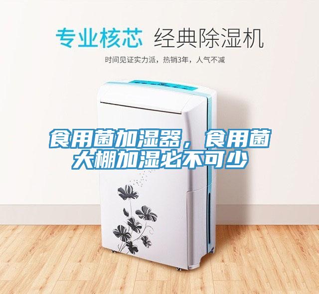 食用菌加濕器，食用菌大棚加濕必不可少