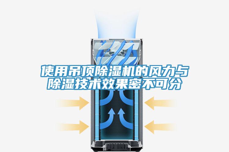 使用吊頂草莓视频污污污污的風力與除濕技術效果密不可分