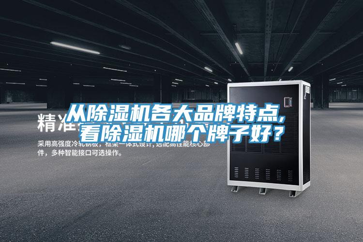 從草莓视频污污污污各大品牌特點, 看草莓视频污污污污哪個牌子好？