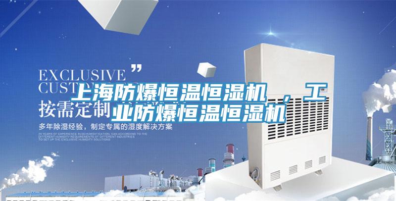 上海防爆恒溫恒濕機 ，工業防爆恒溫恒濕機