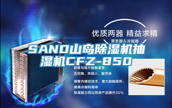 SAND山島草莓视频污污污污抽濕機CFZ-850
