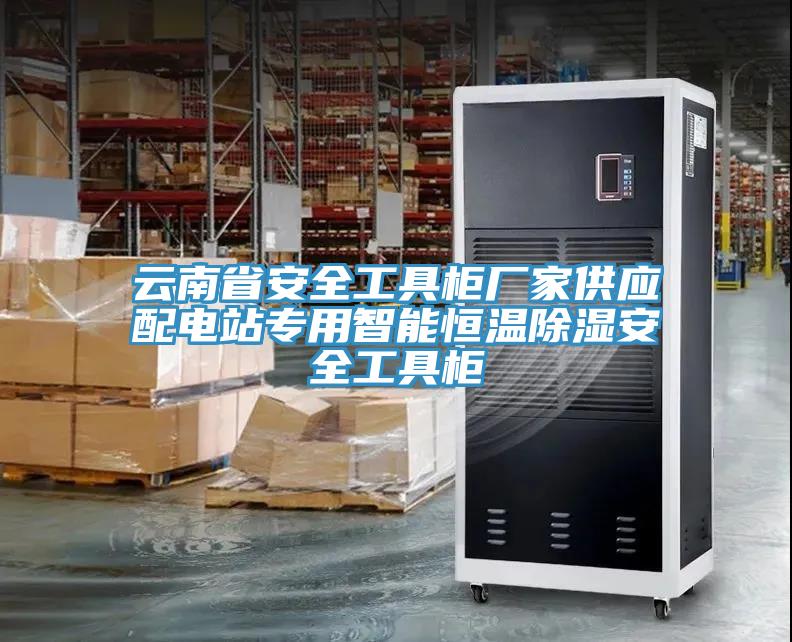 雲南省安全工具櫃廠家供應配電站專用智能恒溫除濕安全工具櫃