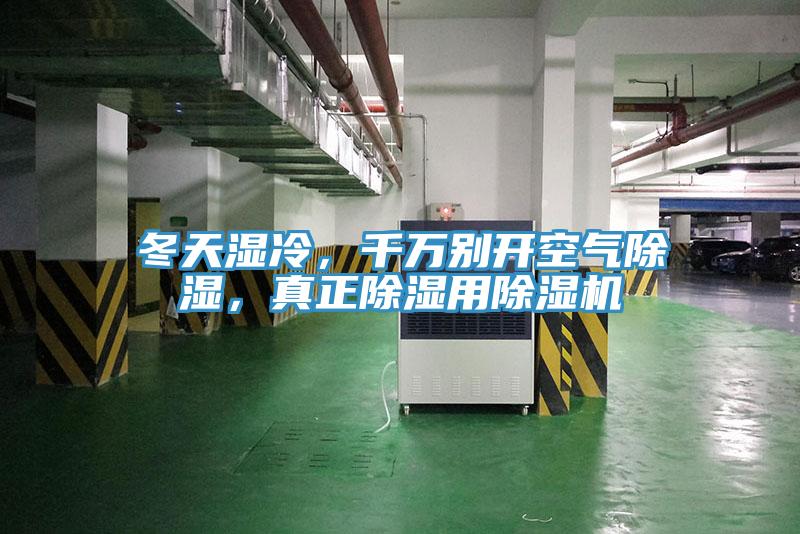 冬天濕冷，千萬別開空氣除濕，真正除濕用草莓视频污污污污