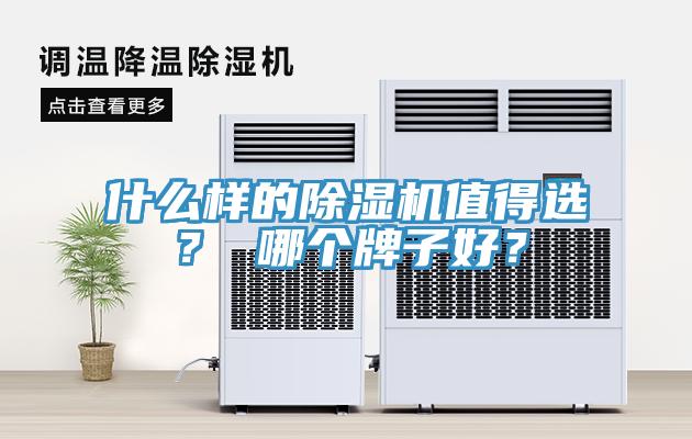 什麽樣的草莓视频污污污污值得選？ 哪個牌子好？