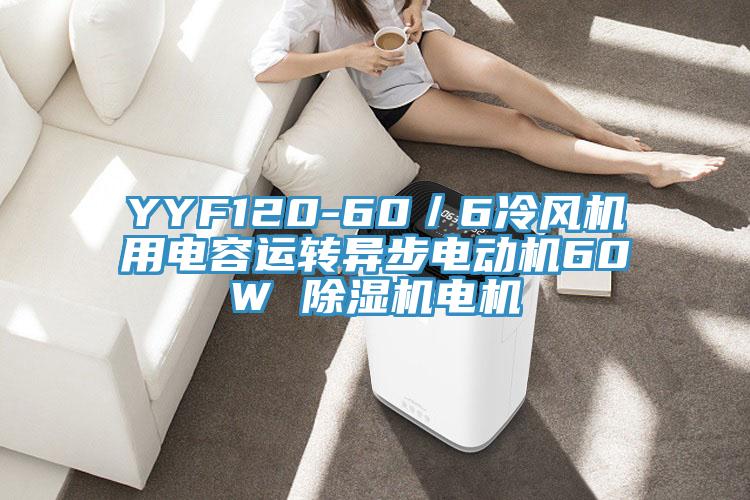 YYF120-60／6冷風機用電容運轉異步電動機60W 草莓视频污污污污電機