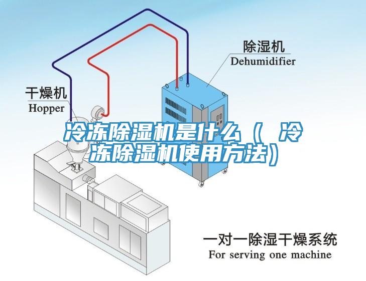 冷凍草莓视频污污污污是什麽（ 冷凍草莓视频污污污污使用方法）