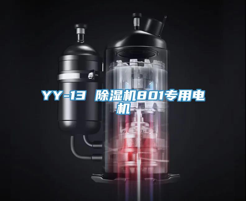YY-13 草莓视频污污污污801專用電機