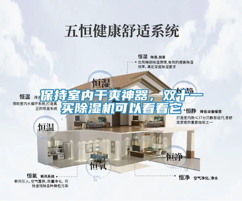 保持室內幹爽神器，雙十一買草莓视频污污污污可以看看它