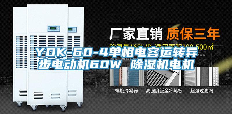 YDK-60-4單相電容運轉異步電動機60W 草莓视频污污污污電機
