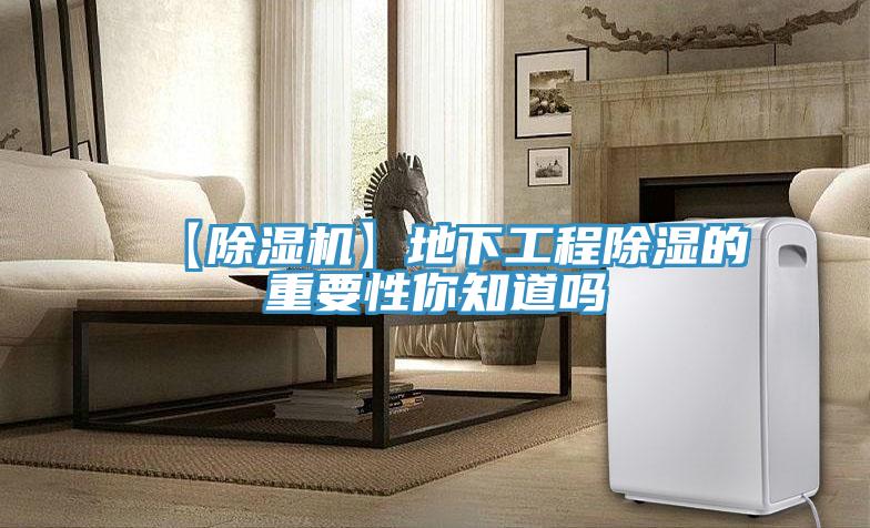 【草莓视频污污污污】地下工程除濕的重要性你知道嗎