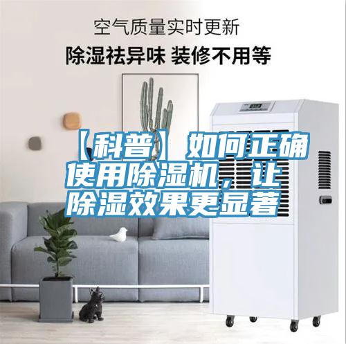 【科普】如何正確使用草莓视频污污污污，讓除濕效果更顯著