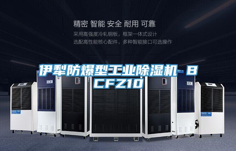 伊犁防爆型工業草莓视频污污污污 BCFZ10