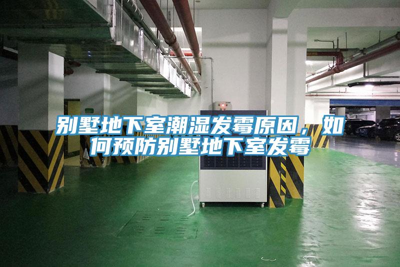 別墅地下室潮濕發黴原因，如何預防別墅地下室發黴