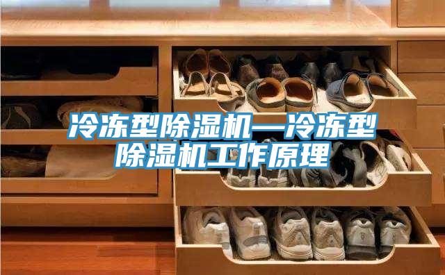冷凍型草莓视频污污污污—冷凍型草莓视频污污污污工作原理