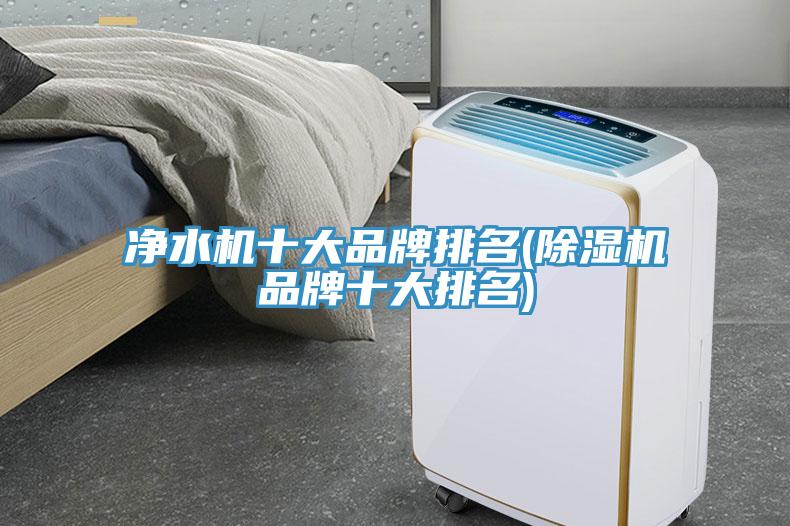 淨水機十大品牌排名(草莓视频污污污污品牌十大排名)