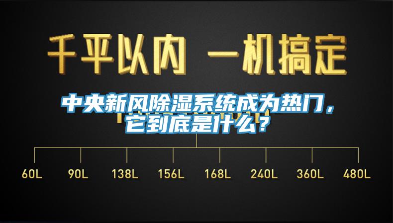 中央新風除濕係統成為熱門，它到底是什麽？