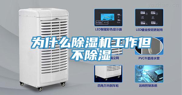 為什麽草莓视频污污污污工作但不除濕