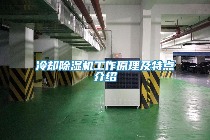 冷卻草莓视频污污污污工作原理及特點介紹