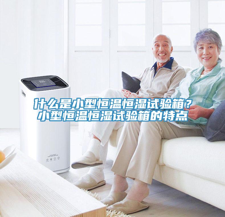 什麽是小型恒溫恒濕試驗箱？小型恒溫恒濕試驗箱的特點