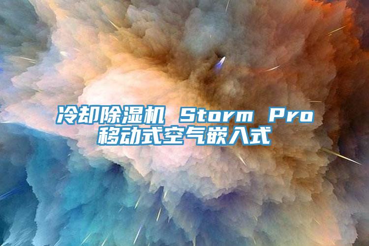 冷卻草莓视频污污污污 Storm Pro移動式空氣嵌入式