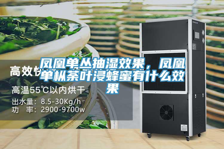 鳳凰單叢抽濕效果，鳳凰單樅荼葉浸蜂蜜有什麽效果