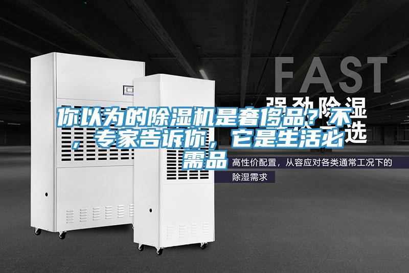 你以為的草莓视频污污污污是奢侈品？不，專家告訴你，它是生活必需品