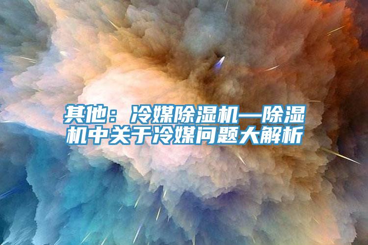 其他：冷媒草莓视频污污污污—草莓视频污污污污中關於冷媒問題大解析