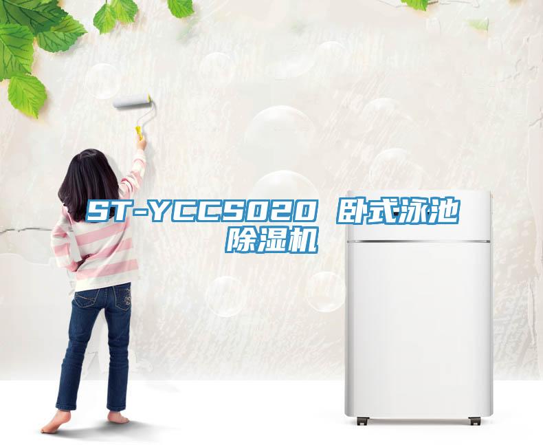 ST-YCCS020 臥式泳池草莓视频污污污污