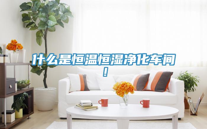 什麽是恒溫恒濕淨化車間！