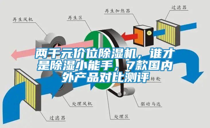 兩千元價位草莓视频污污污污，誰才是除濕小能手，7款國內外產品對比測評