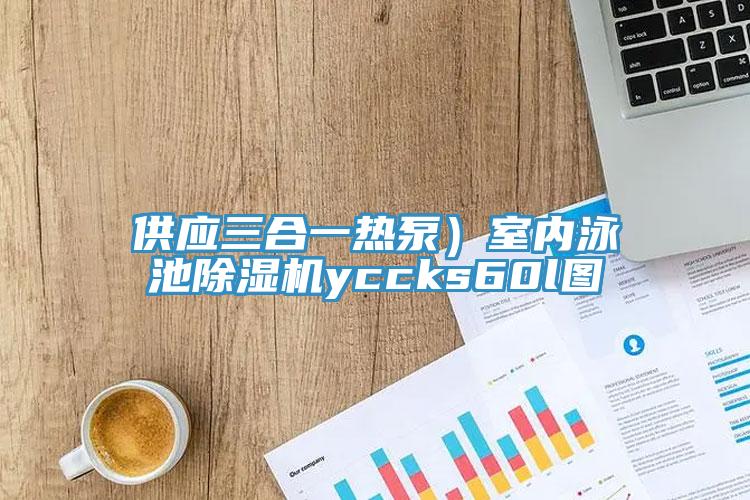 供應三合一熱泵）室內泳池草莓视频污污污污yccks60l圖