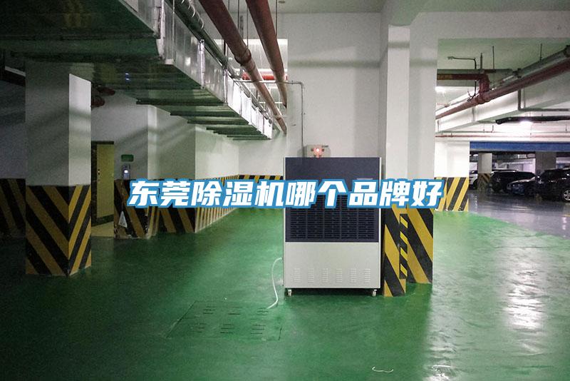 東莞草莓视频污污污污哪個品牌好
