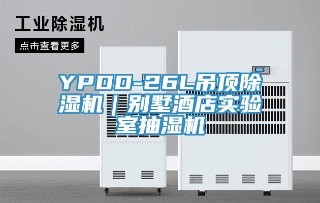 YPDD-26L吊頂草莓视频污污污污｜別墅酒店實驗室抽濕機