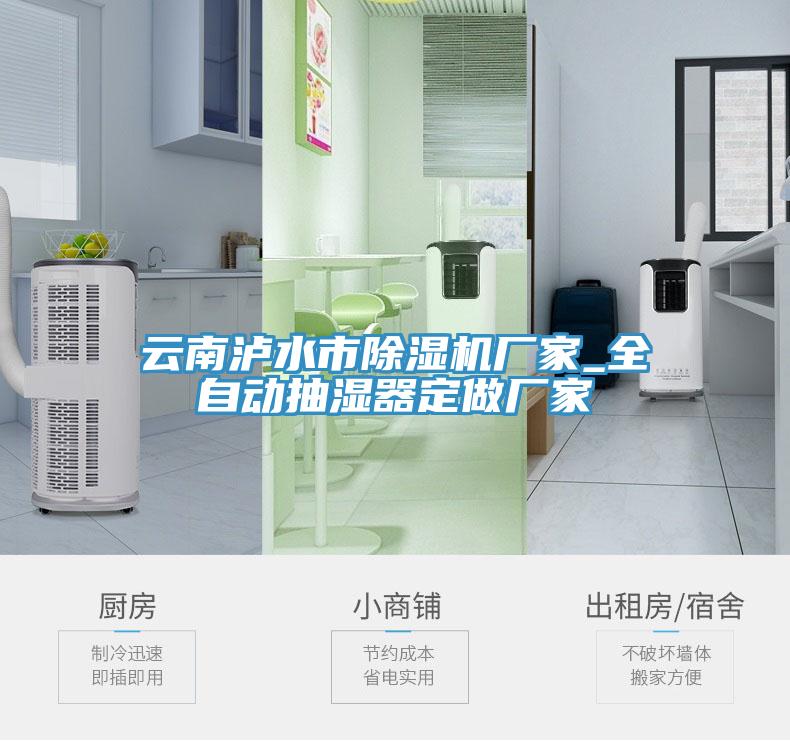 雲南瀘水市草莓视频污污污污廠家_全自動抽濕器定做廠家