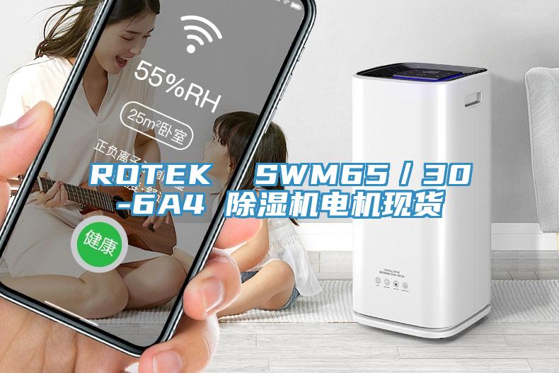 ROTEK  SWM65／30-6A4 草莓视频污污污污電機現貨