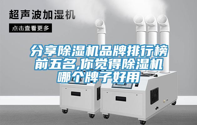 分享草莓视频污污污污品牌排行榜前五名,你覺得草莓视频污污污污哪個牌子好用