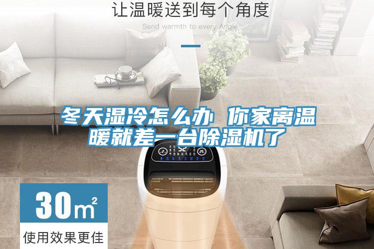 冬天濕冷怎麽辦 你家離溫暖就差一台草莓视频污污污污了