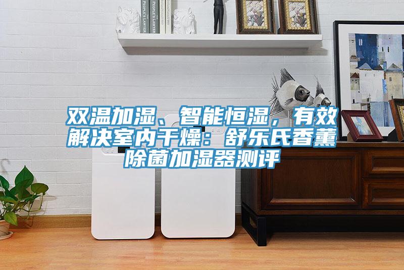 雙溫加濕、智能恒濕，有效解決室內幹燥：舒樂氏香薰除菌加濕器測評