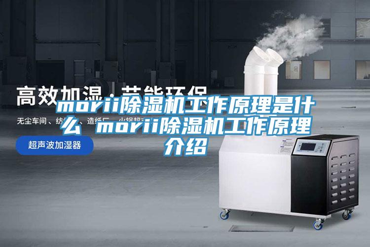 morii草莓视频污污污污工作原理是什麽 morii草莓视频污污污污工作原理介紹