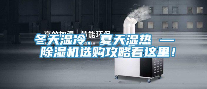 冬天濕冷、夏天濕熱 — 草莓视频污污污污選購攻略看這裏！
