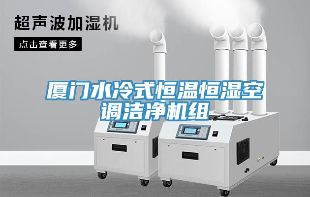 廈門水冷式恒溫恒濕空調潔淨機組