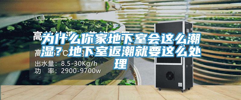 為什麽你家地下室會這麽潮濕？地下室返潮就要這麽處理