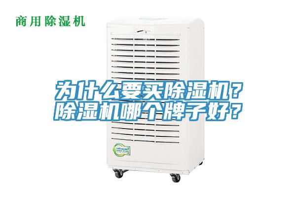 為什麽要買草莓视频污污污污？草莓视频污污污污哪個牌子好？