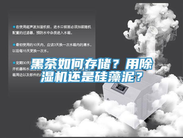 黑茶如何存儲？用草莓视频污污污污還是矽藻泥？